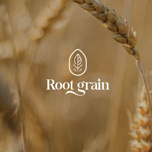 디자인 포트폴리오 Root Grain